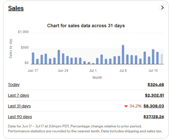 eBay store sales snapshot 6